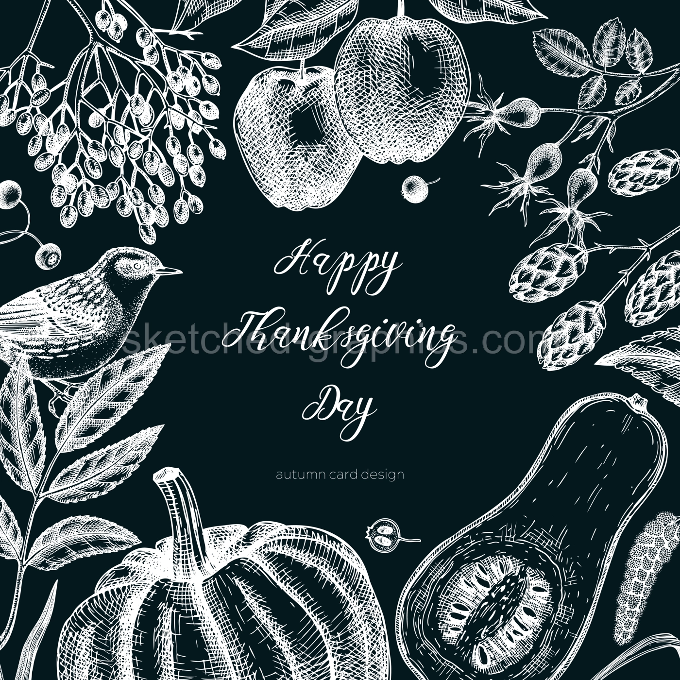 Sketched autumn card design on chalkboard . Vintage botanical frame with autumn leaves, pumpkins, berries, bird drawings. Fall plants invitation or banner. Thanksgiving day sketched illustration. Illustration